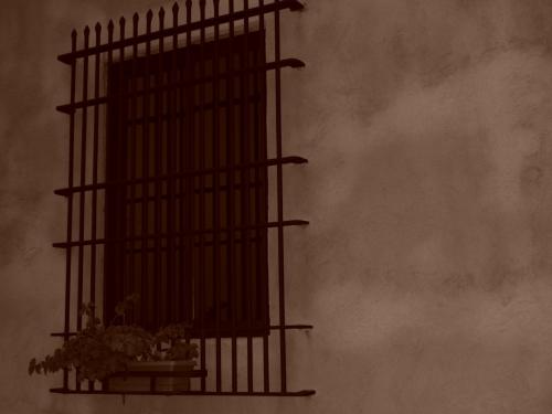 Fotografia de Tessa Calas - Galeria Fotografica: Mis promogenitas - Foto: Colonial