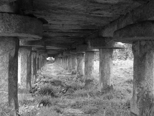 Fotografia de Alicia RiVi - Galeria Fotografica: MIS PRIMERAS FOTOS - Foto: ARTE EN GRAFITO