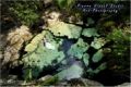 Fotos de Pierre Visual Studio -  Foto: TRASH THE DRESS en Cenote - RIVIERA MAYA - Mexico - 