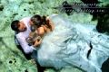 Foto de  Pierre Visual Studio - Galería: TRASH THE DRESS en Cenote - RIVIERA MAYA - Mexico - Fotografía: 