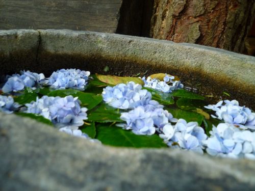 Fotografia de Ronny B - Galeria Fotografica: Oktober - Foto: 