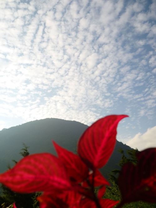 Fotografia de Ronny B - Galeria Fotografica: Oktober - Foto: RED