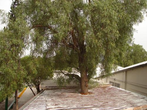 Fotografia de Margui Torres - Galeria Fotografica: Inicio - Foto: Foto en el techo