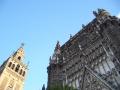 Fotos de Barnesius -  Foto: Entre dos mundos - Catedral de Sevilla