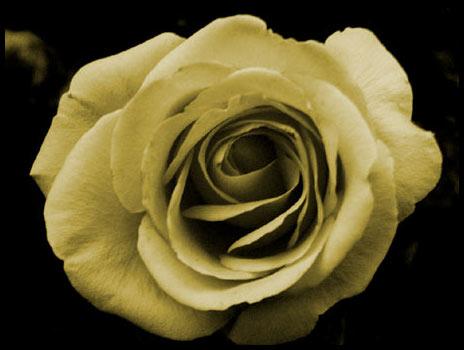 Fotografia de fotografia bodas - Galeria Fotografica: Jose Miguel Jimenez - Foto: 