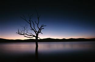 Fotografia de DAVFOTO* - Galeria Fotografica: Natural - Foto: Soledad