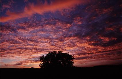 Fotografia de DAVFOTO* - Galeria Fotografica: Natural - Foto: El Cielo en llamas
