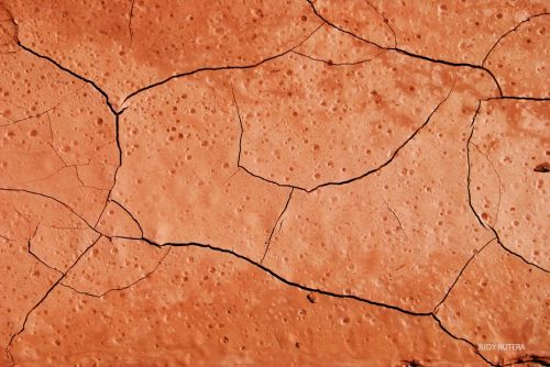 Fotografia de Judy Rutera - Galeria Fotografica: Escencias, miradas interiores - Foto: 