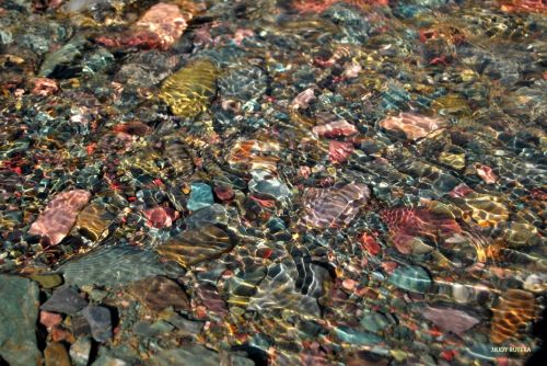 Fotografia de Judy Rutera - Galeria Fotografica: Escencias, miradas interiores - Foto: 