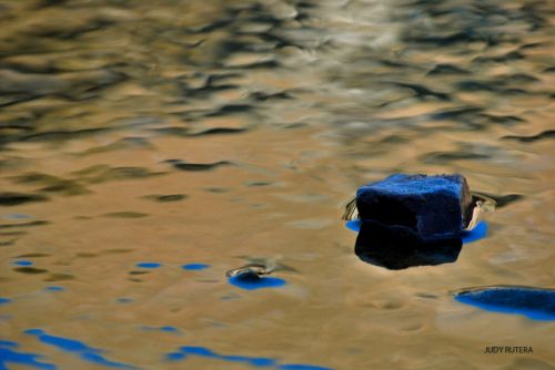 Fotografia de Judy Rutera - Galeria Fotografica: Escencias, miradas interiores - Foto: 