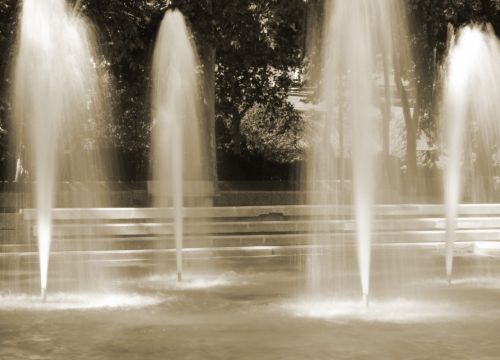 Fotografia de BFM Photo - Galeria Fotografica: Da - Foto: 