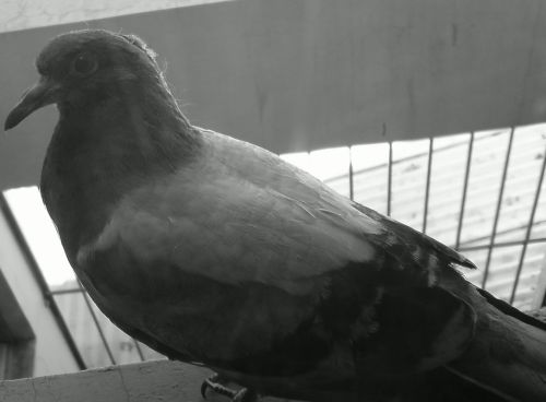 Fotografia de mau120 - Galeria Fotografica: de todo un poco - Foto: 