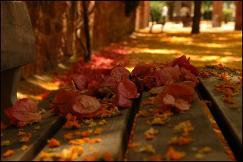 Fotografia de Paolo Martelli - Galeria Fotografica: True Colors (cindy lauper) - Foto: Anybody seen my baby? (the rolling stones)