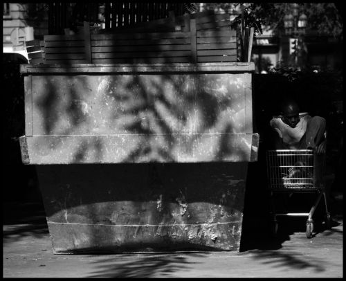 Fotografia de Paolo Martelli - Galeria Fotografica: True Colors (cindy lauper) - Foto: Daylight black (muta)