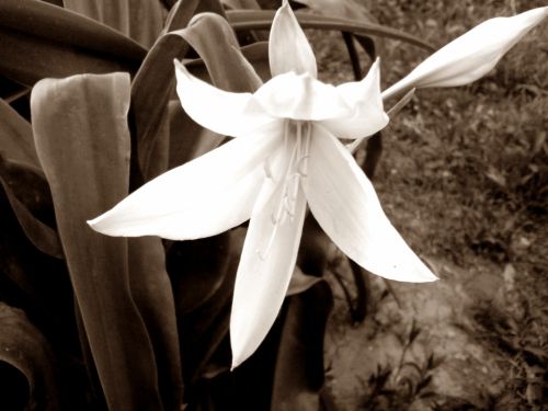 Fotografia de mau120 - Galeria Fotografica: de todo un poco - Foto: 