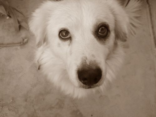 Fotografia de mau120 - Galeria Fotografica: de todo un poco - Foto: 