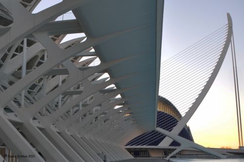 Fotografia de JEM - Galeria Fotografica: Jaumesteve - Foto: La Ciutat de les Ciencies