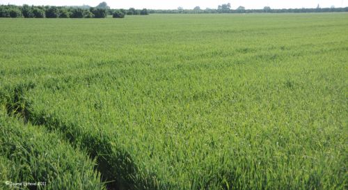 Fotografia de JEM - Galeria Fotografica: Jaumesteve - Foto: 