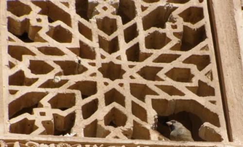 Fotografia de nuri - Galeria Fotografica: granada - Foto: 