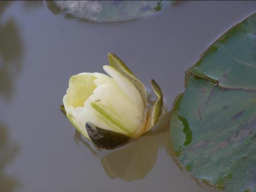 Fotografia de nuri - Galeria Fotografica: granada - Foto: 