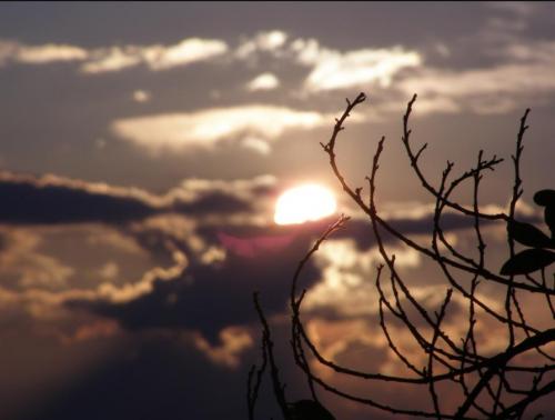 Fotografia de nuri - Galeria Fotografica: granada - Foto: 