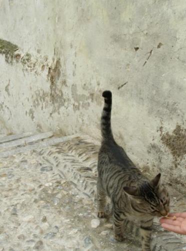 Fotografia de nuri - Galeria Fotografica: granada - Foto: 