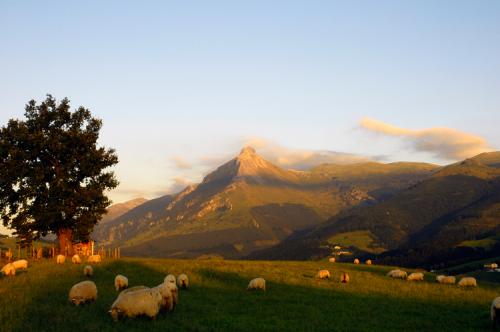 Fotografia de KILIMUNARRIZ - Galeria Fotografica: ALGUNAS IMAGENES - Foto: MI PARAISO