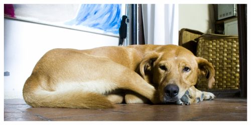 Fotografia de sarah - Galeria Fotografica: mix - Foto: 