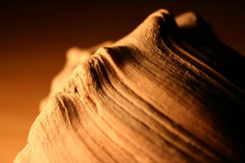 Fotografia de by CRC - Galeria Fotografica: Algunas Fotos - Foto: 