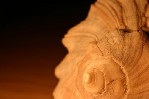 Fotografia de by CRC - Galeria Fotografica: Algunas Fotos - Foto: 