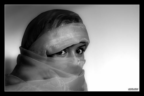 Fotografia de Javier Liria Photography - Galeria Fotografica: Ladies Session - Foto: Blonde Arabian