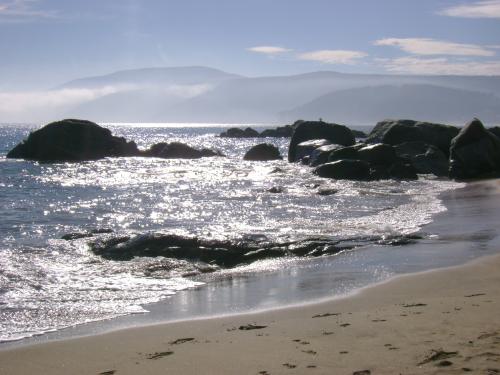 Fotografia de Camili Ebudae - Galeria Fotografica: Por la Quinta - Foto: #