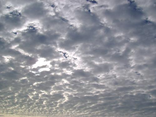 Fotografia de Camili Ebudae - Galeria Fotografica: Por la Quinta - Foto: Mar de arriba