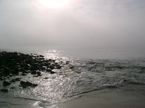 Fotografia de Camili Ebudae - Galeria Fotografica: Por la Quinta - Foto: Niebla