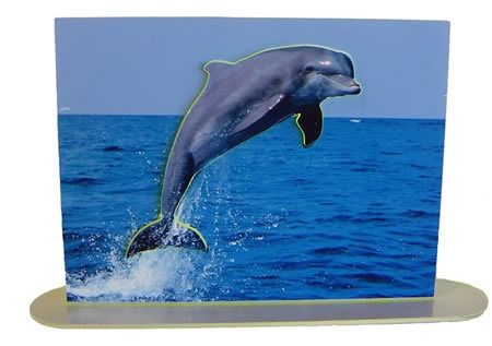 Fotografia de REALIMAGE MEXICO - Galeria Fotografica: FOTOESCULTURAS - Foto: NATURALEZA