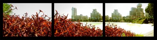 Fotografia de Laura baute sanjuan - Galeria Fotografica: Arquitectura Urbana - Foto: 