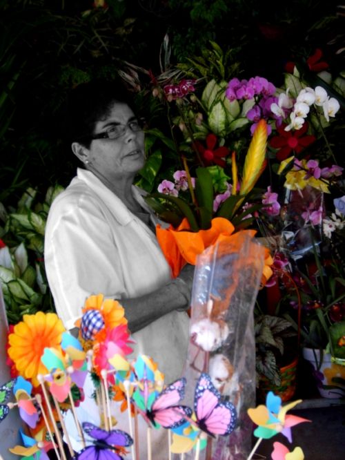 Fotografia de Laura baute sanjuan - Galeria Fotografica: instantes - Foto: 