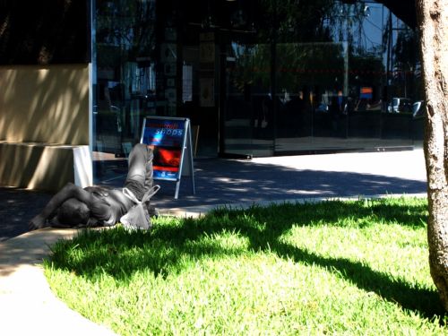 Fotografia de Laura baute sanjuan - Galeria Fotografica: instantes - Foto: 