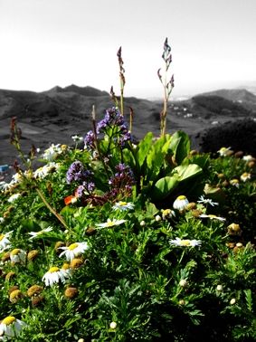 Fotografia de Laura baute sanjuan - Galeria Fotografica: paisajes - Foto: 