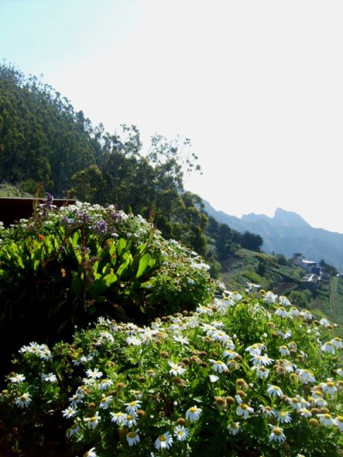 Fotografia de Laura baute sanjuan - Galeria Fotografica: paisajes - Foto: 