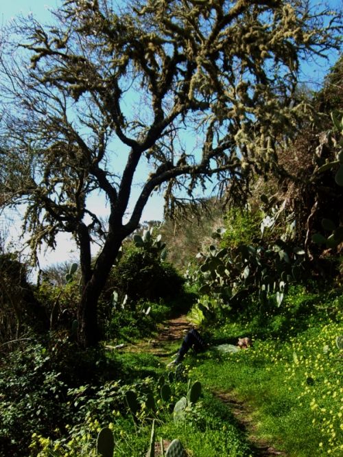 Fotografia de Laura baute sanjuan - Galeria Fotografica: paisajes - Foto: 