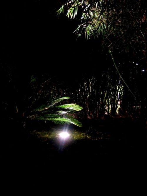 Fotografia de Laura baute sanjuan - Galeria Fotografica: paisajes - Foto: 