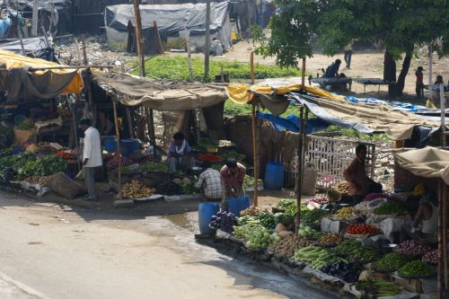 Fotografia de jose m - Galeria Fotografica: india - Foto: 