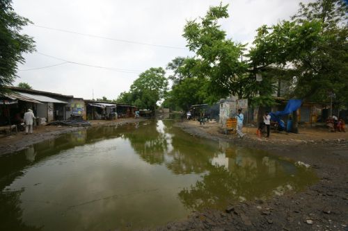 Fotografia de jose m - Galeria Fotografica: india - Foto: 