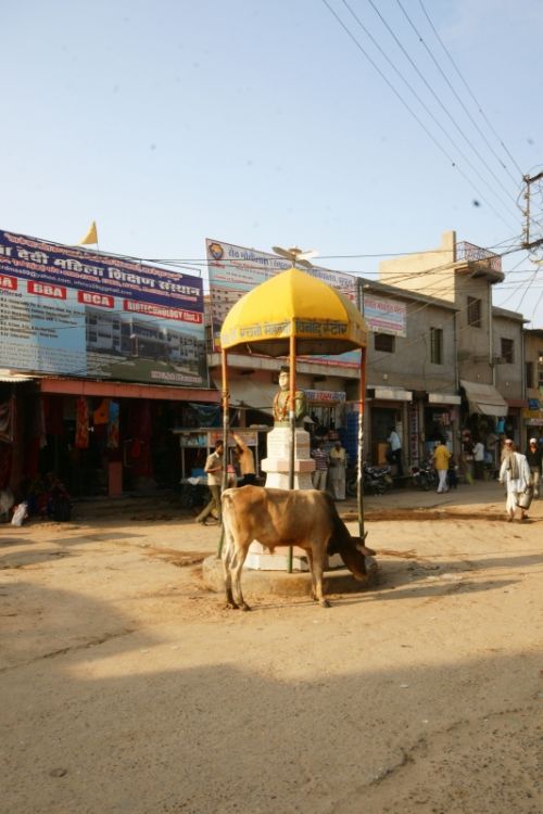 Fotografia de jose m - Galeria Fotografica: india - Foto: 