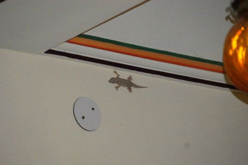 Fotografia de jose m - Galeria Fotografica: india - Foto: 