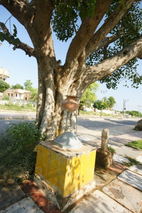 Fotografia de jose m - Galeria Fotografica: india - Foto: 