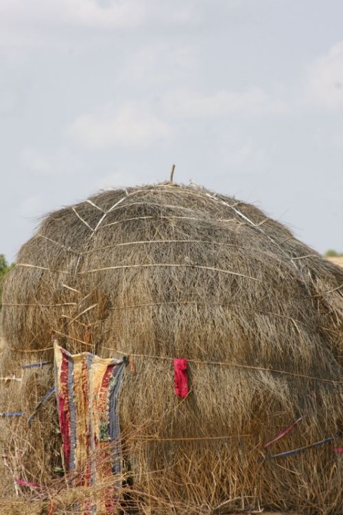 Fotografia de jose m - Galeria Fotografica: india - Foto: 