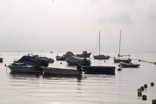 Fotografia de marianoegea - Galeria Fotografica: naturaleza - Foto: 