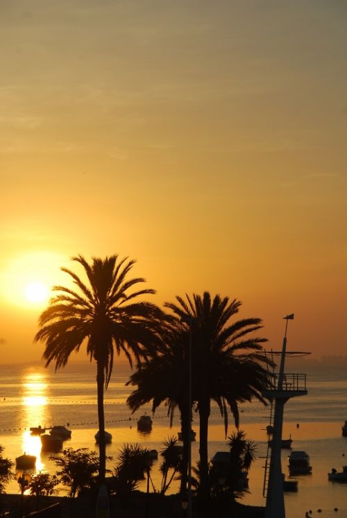 Fotografia de marianoegea - Galeria Fotografica: naturaleza - Foto: 